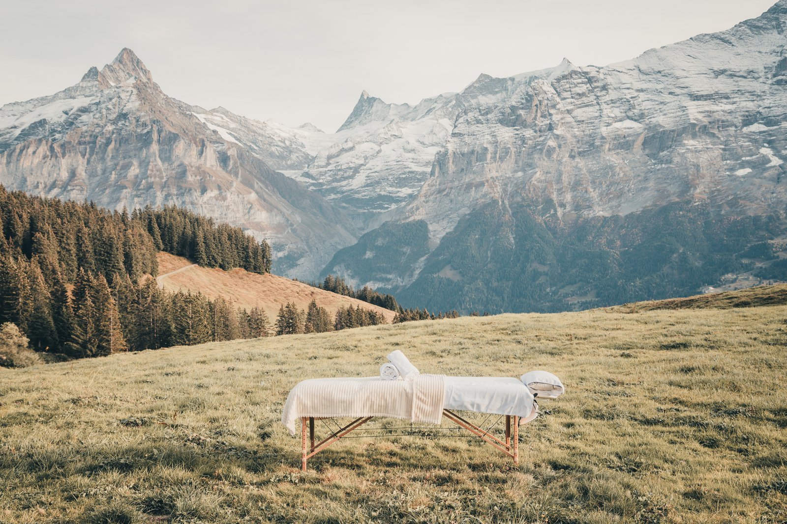 Grindelwald mountain landscape